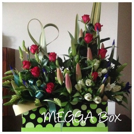 MEGGA box
