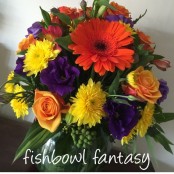 Fishbowl Fantasy